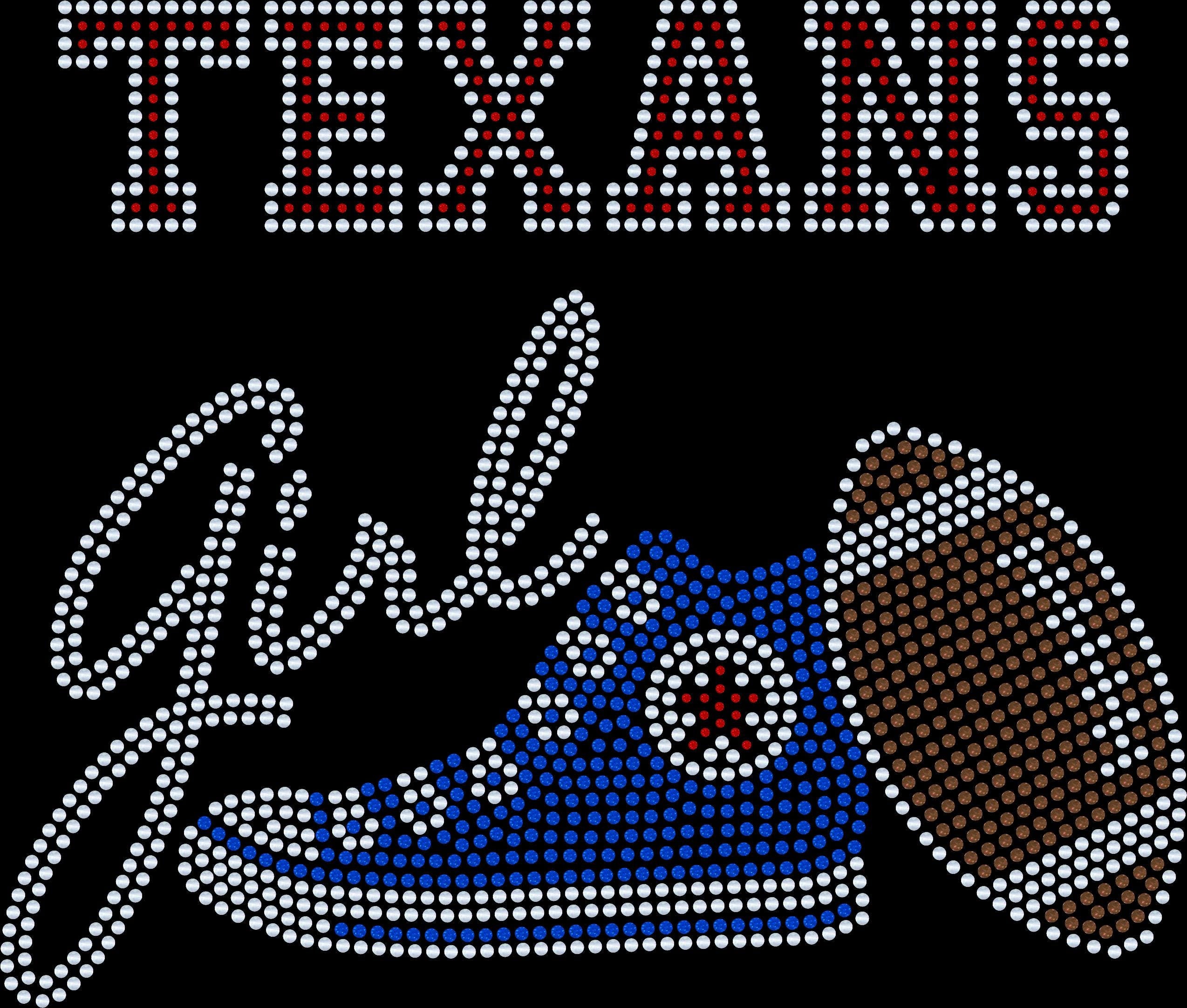 Personalized Houston Texans Bling Tee, Converse Tennis Shoe, Texans Girl, Personalization Optional! Sweatshirts and Long sleeve Available! - Stitch N Bling
