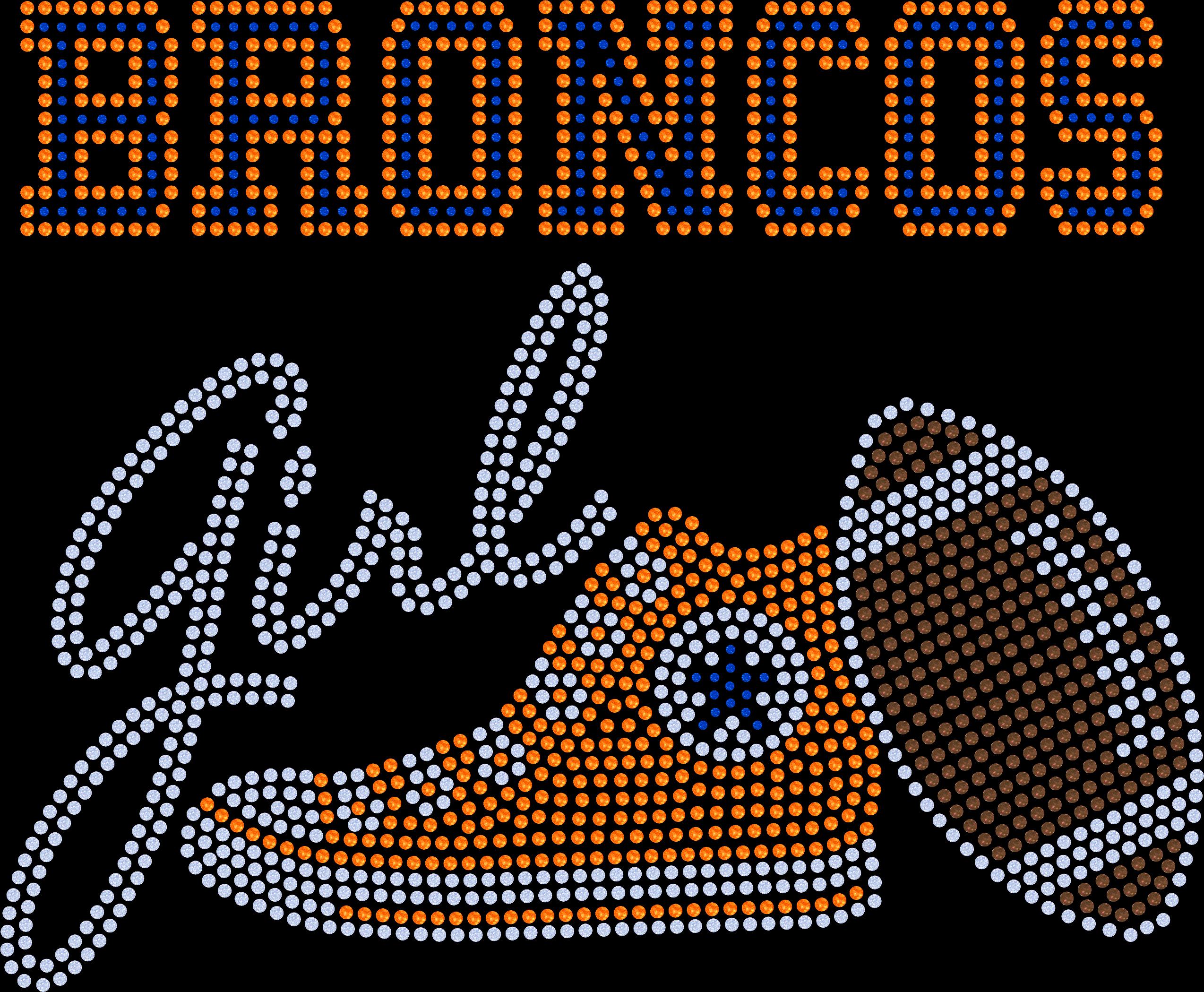 Personalized Denver Broncos Tee, Converse Tennis Shoe, Broncos Girl, Personalization Optional! Long sleeve and Sweatshirts! - Stitch N Bling