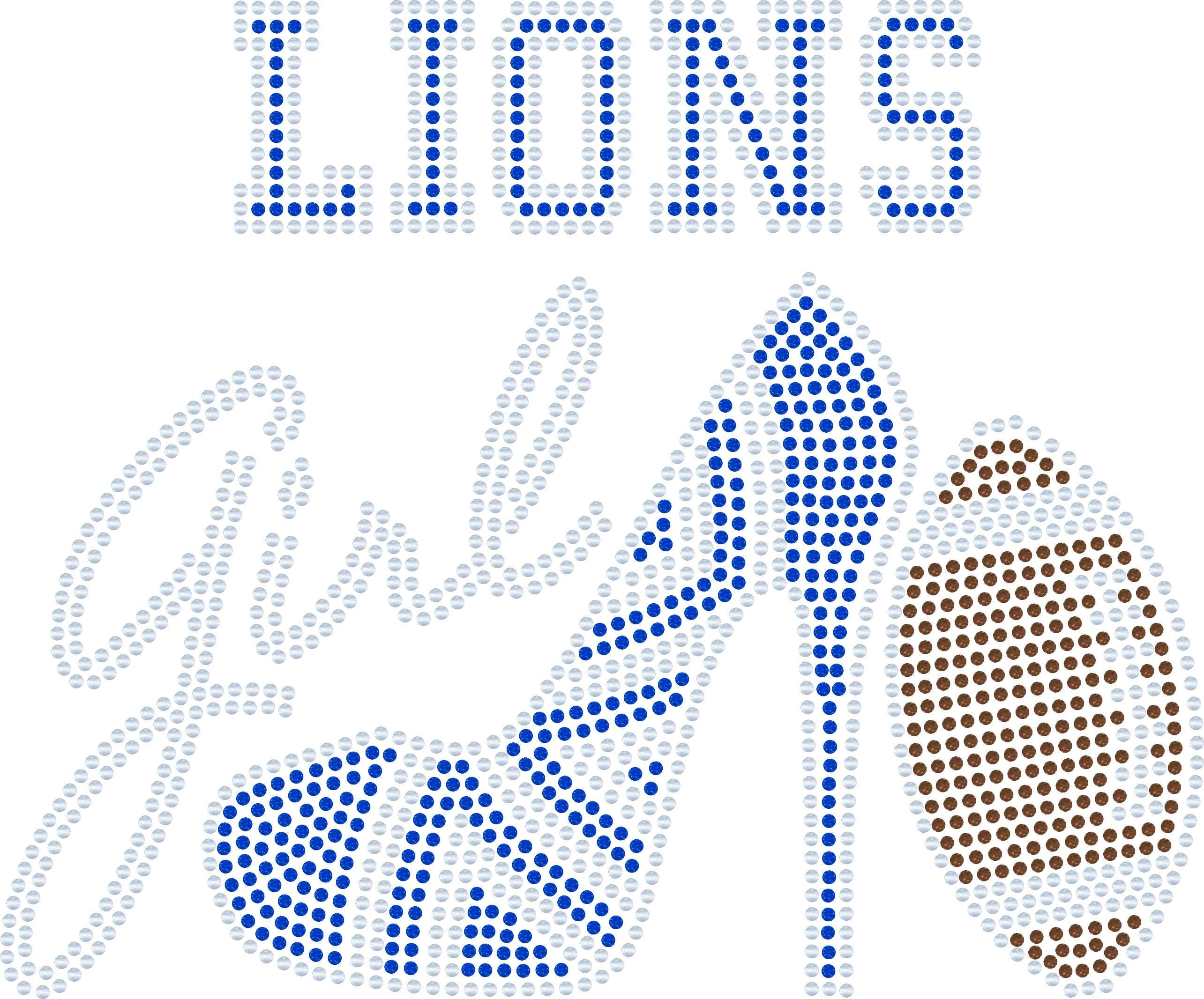 Detroit Lions High Heel Shoe Bling, Detroit Michigan Football Tee, Lions Fan, Personalization Optional! Sweatshirts/Long sleeve Available! - Stitch N Bling