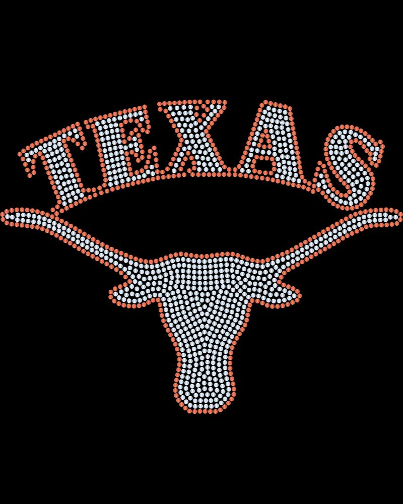 UT Austin Longhorn Texas University Apparel - Ladies V-Neck Tee, Unisex Crewneck, Ladies Long Sleeve V-Neck Shirt, Unisex Sweatshirt