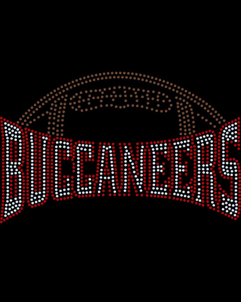 Tampa Bay Buccaneers Football Bling Apparel – Ladies V-Neck Tee, Unisex Crewneck, Ladies Long Sleeve V-Neck Shirt, Unisex Sweatshirt