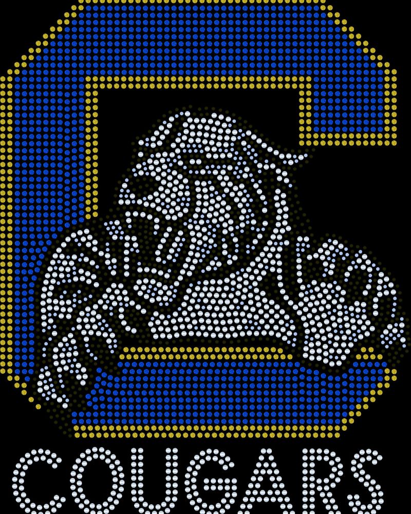 Cougars Football Bling Apparel – Ladies V-Neck Tee, Unisex Crewneck, Ladies Long Sleeve V-Neck Shirt, Unisex Sweatshirt