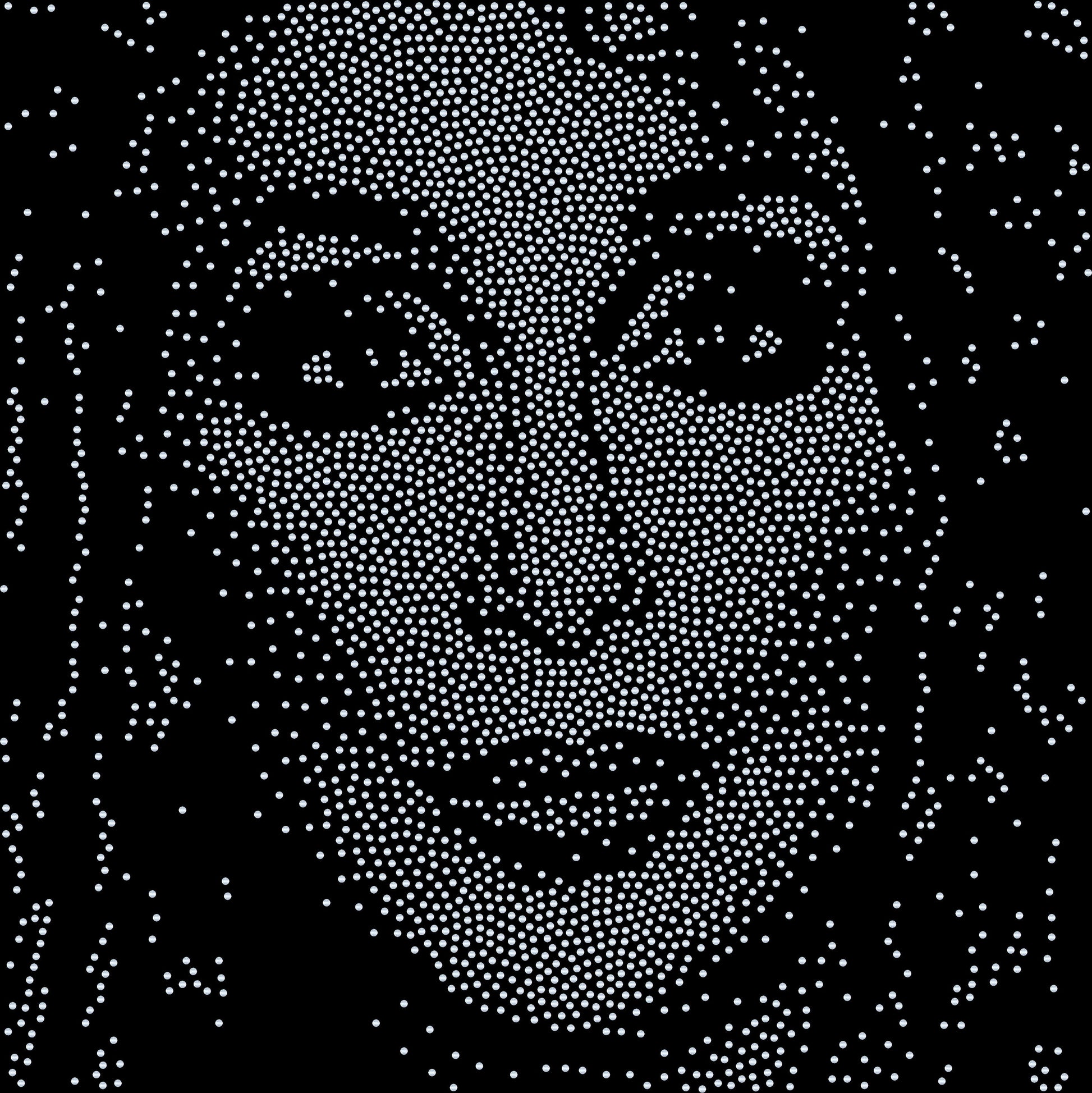 Cher Face Bling Bag / Cher Bag / Cher Singer Zippered Tote bag! - Stitch N Bling