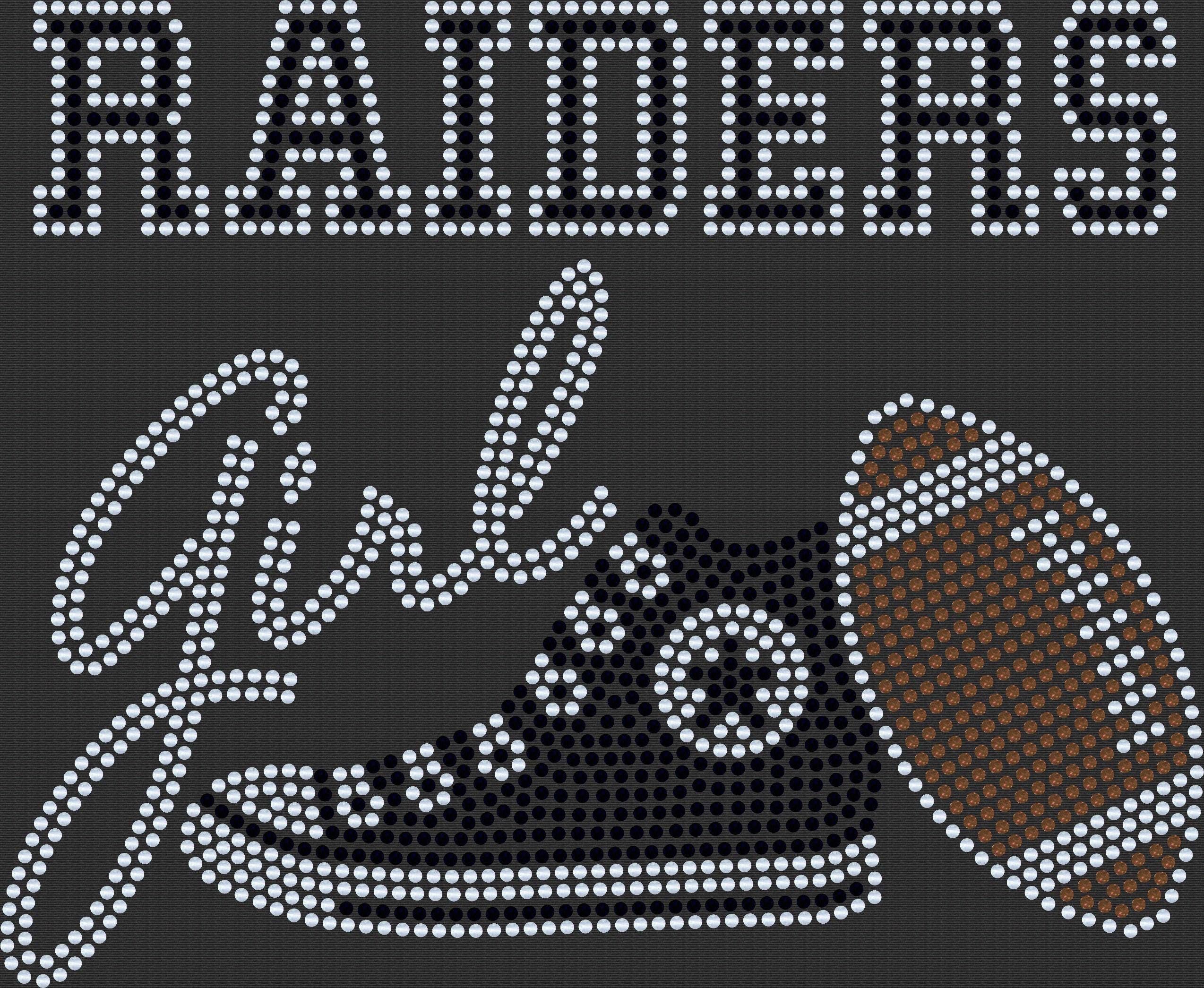 Las Vegas Raiders Bling Tee, Tennis Shoe, Raiders Girl, Personalization Optional! Long sleeve and Sweatshirts! - Stitch N Bling